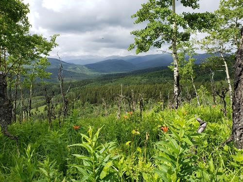View to south from Four Nines Ridge (rain moving in)