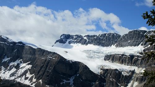 Crowfoot Glacier