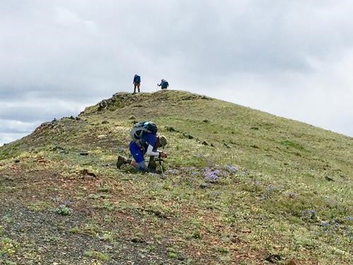 Ingrid photographing some Jacob's Ladder along ridge of the higher hill