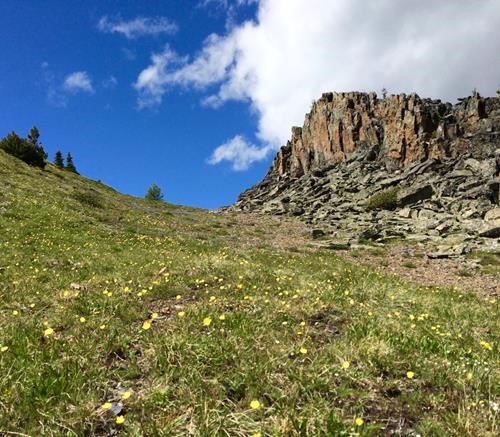 A minor rock wall that we came down near the start of Francisco's Ridge.