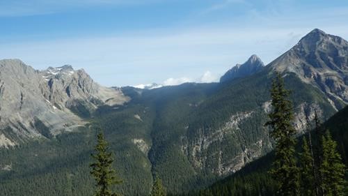 Burgess Pass from Mt.Stephen
