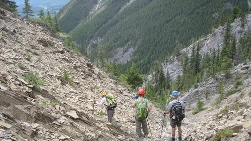 Upper end of the drainage