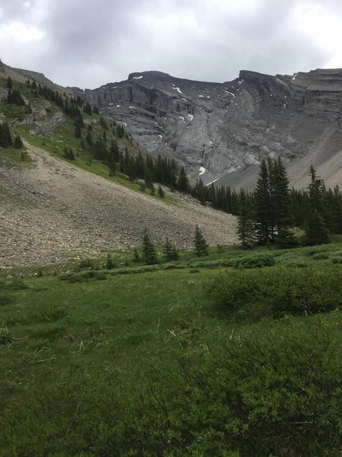 Meadows of the Cascade Amphitheatre.
