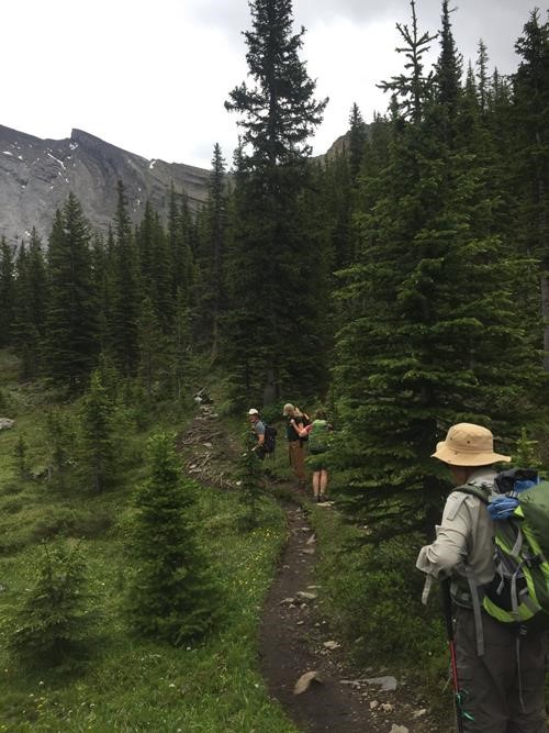 Our assent after crossing Forty Mile Creek in the morning.