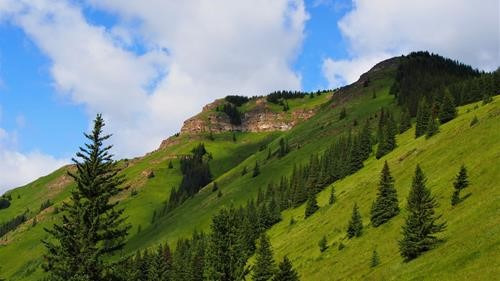 Our destination, from trail up through the meadow