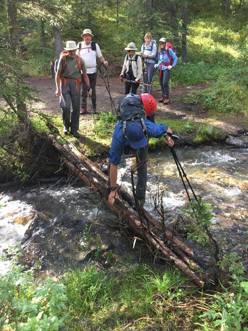 Bruce crossing creek on log bridge