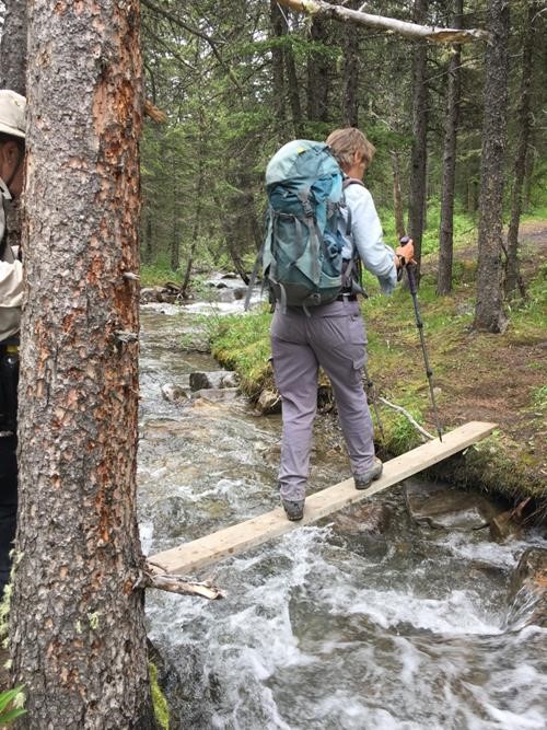 Barb walking the plank