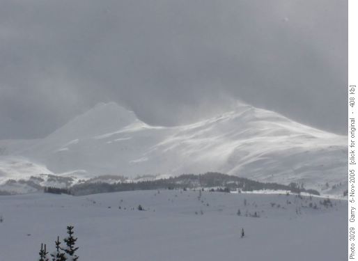 Winter on Quartz Ridge
