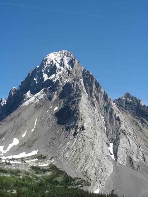 New snow on mount Birdwood