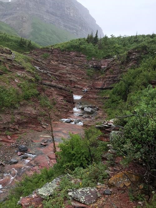 Pretty little canyon in the rain