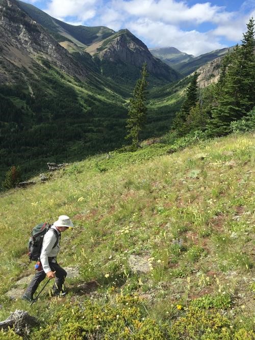 The upper Pincher Creek valley with {607 d ga} trekking on