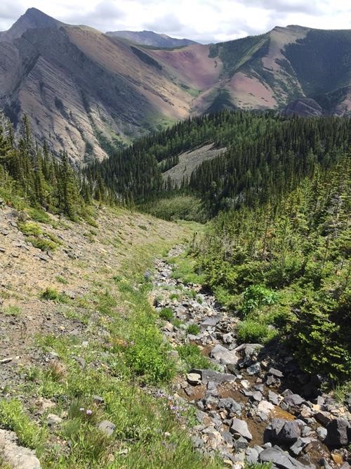 {607 d ga} in the distance, heading down the drainage