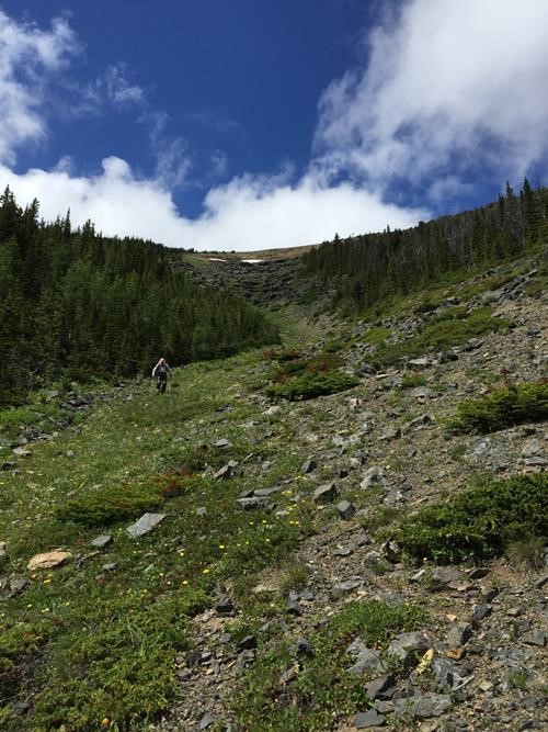 {212 d mu} coming down the mountain