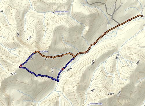 Our route up Victoria Peak (orange) and down the Gannon route (blue)