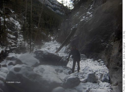 Cougar Creek NE Route from GR195632