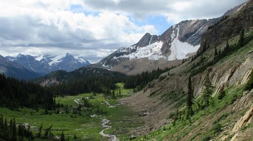 Looking back towards Niles Meadows from the upper bench