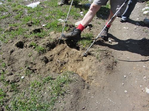 Sasquatch footprint? bear digging?