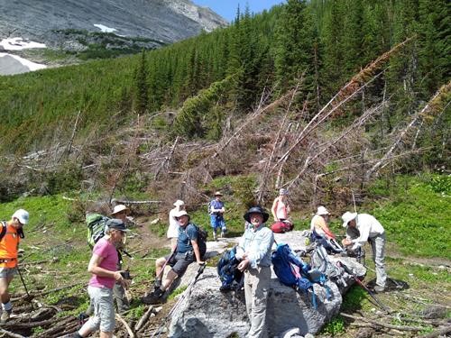 Rest stop with evidence of avalanche damage