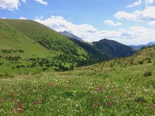 Looking down Paradise Valley from below our lunch spot