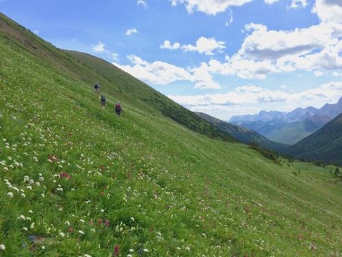 Still climbing up to Highwood Ridge, looking south down Paradise Valley