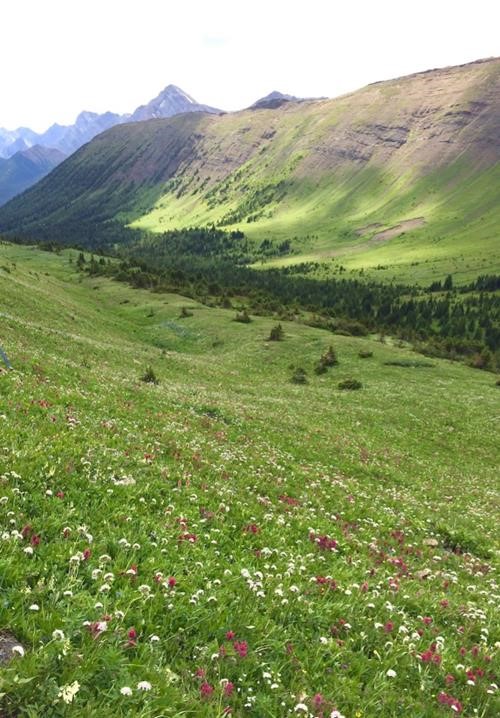 Leaving the "bench" as we start the climb up to Highwood Ridge