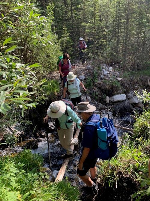 creek crossing on Memorial Lakes trail