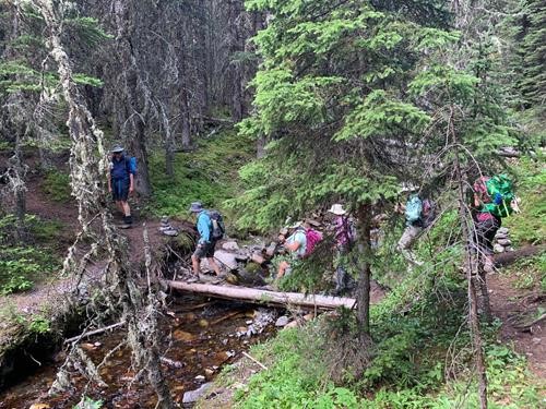 Log crossing of a tributary of North Ribbon Creek
