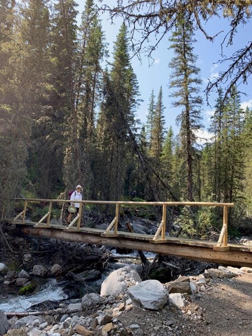 {1990 joa Glas} on one of the newish bridges over North Ribbon Creek