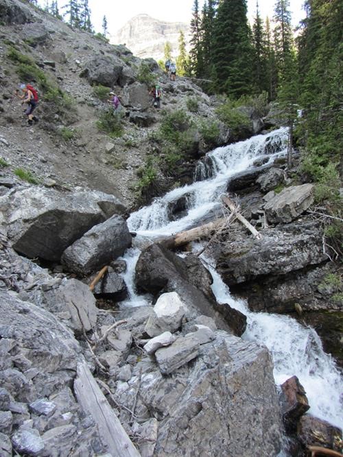Rough trail descending alongside the creek
