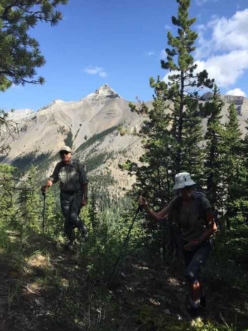 Good trail to treeline with East Burns behind