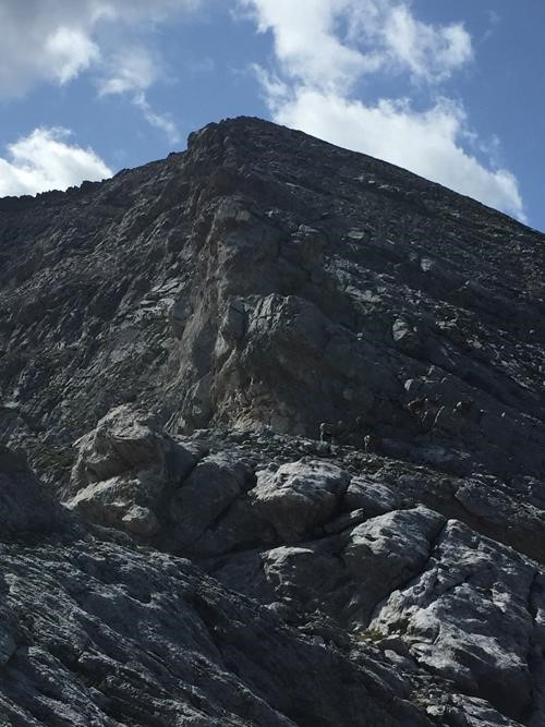 Fun scrambling and Bighorn sheep