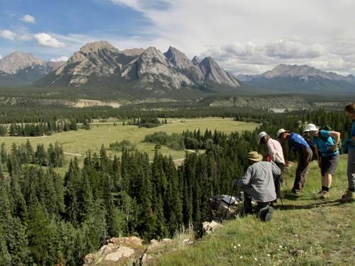 David Thompson Country - Kootenay Plains Overlook