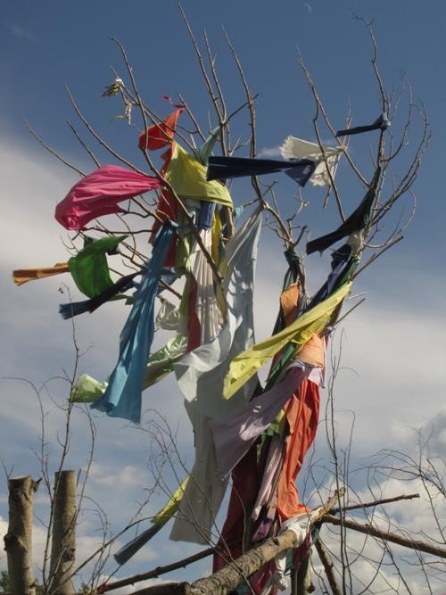David Thompson Country - Kootenay Plains Sweat Lodge