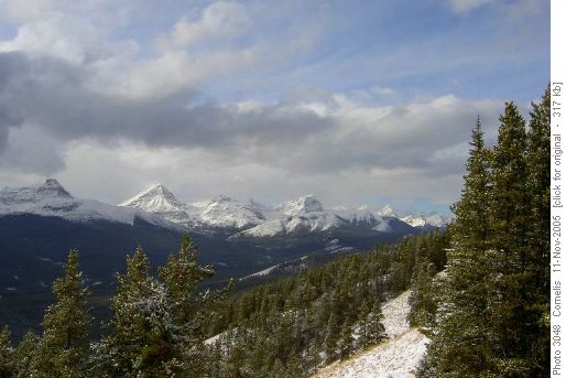 Mt Muir 2743m, Mt McPhail 2865m, Mt Bishop 2825m, from Cat Ck Hills