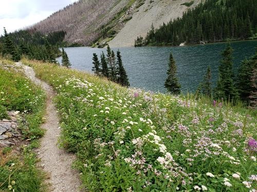 Lush meadows on one side of Bertha Lake, burned slope on the other