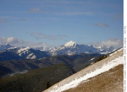 Mist Mt 3138m Range from Cat Ck Hills Ridge
