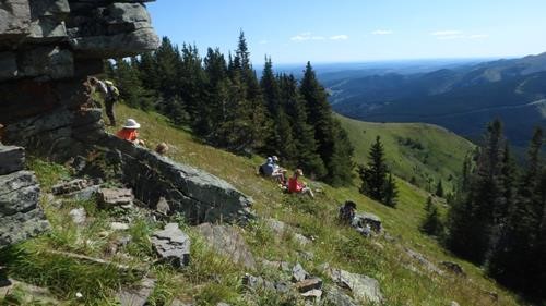 Sheltered lunch spot