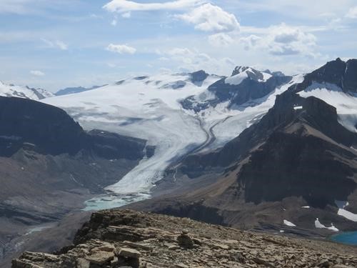 Peyto Glacier