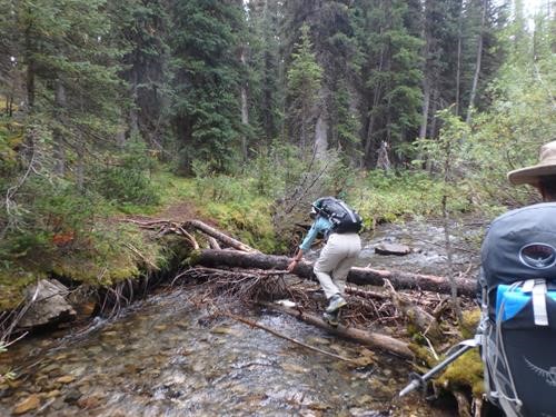 Creek crossing