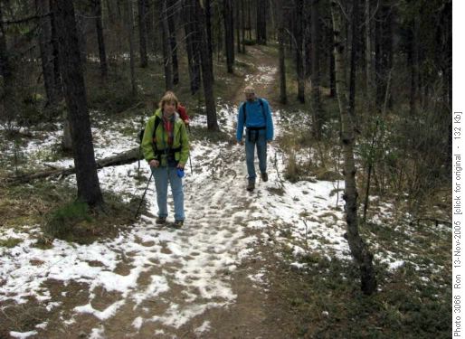 Icy trail, Sulphur Springs loop