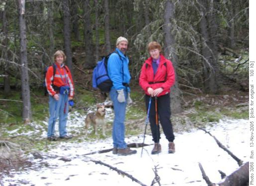 Sulphur Springs group