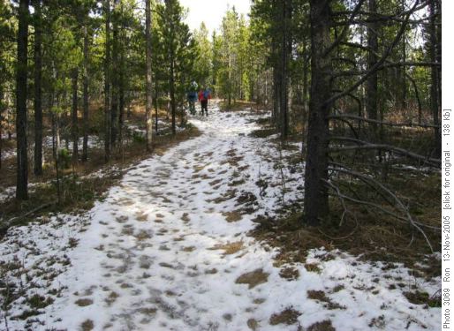 Ice in the shade, Sulphur Springs
