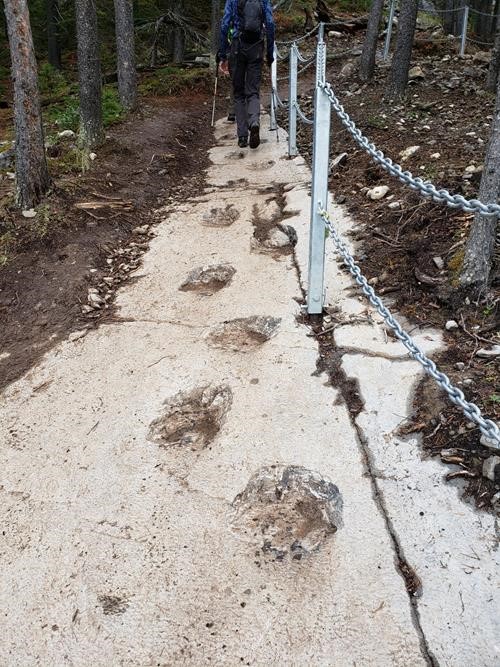 Steel cables and "sasquatch steps" carved in limestone