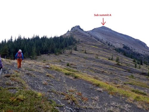 Start of the open Junction ridge after intermittent mild bush