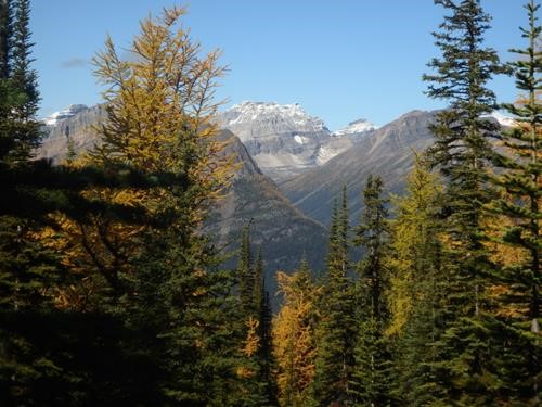 View to Mt. Quadra