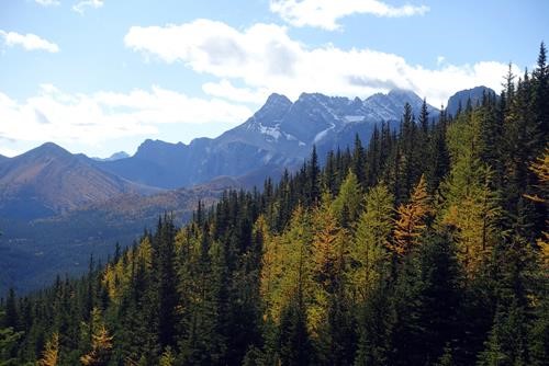 Mount Rae