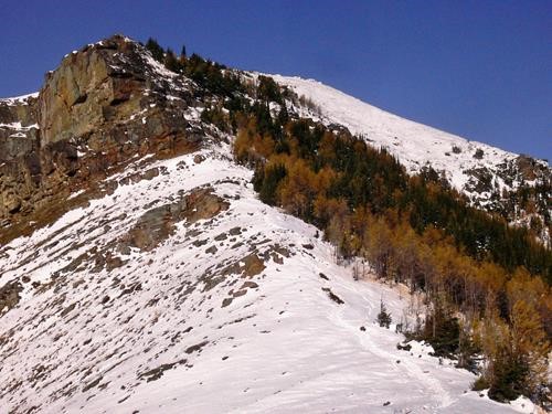 Larches below the steepest part of Centennial ridge