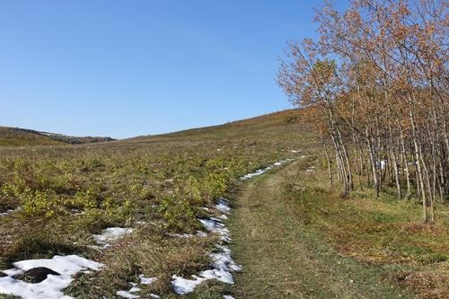 Trail Conditions