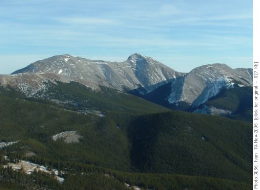 Moose from Jumpingpound