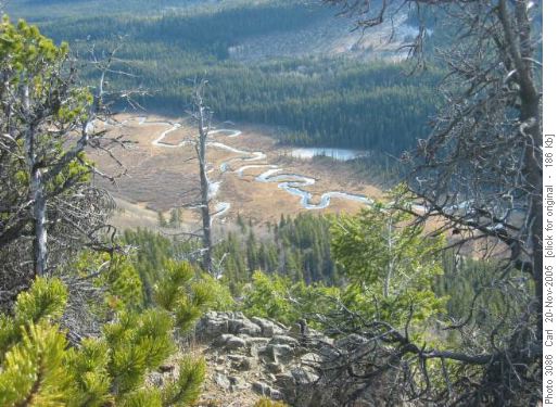 Sibbald Flats from Deer Ridge